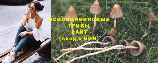 a pvp Беломорск