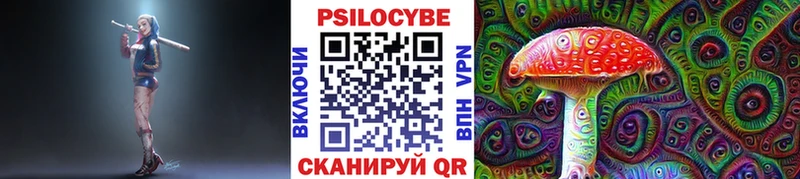 магазин продажи наркотиков Бологое Псилоцибиновые грибы Cubensis
